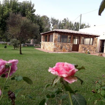 Agriturismo Quattro Mori Porto Torres Dış mekan fotoğraf