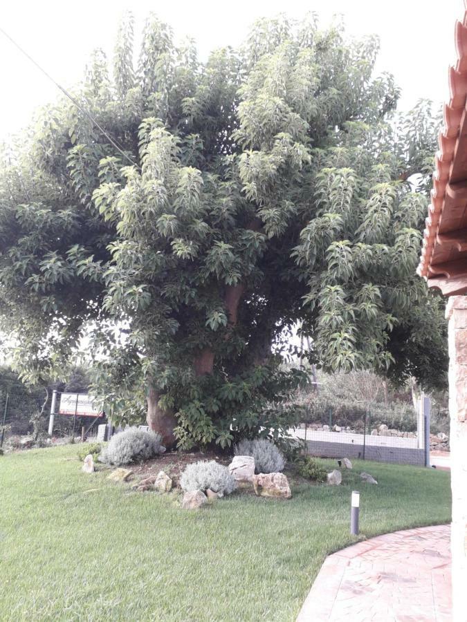 Agriturismo Quattro Mori Porto Torres Dış mekan fotoğraf