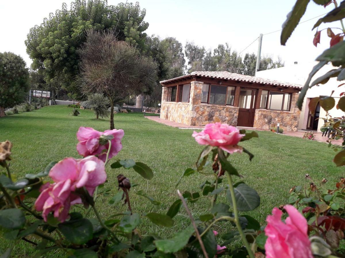 Agriturismo Quattro Mori Porto Torres Dış mekan fotoğraf